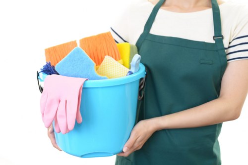 House cleaning essentials and organized cleaning tools