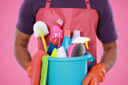 Domestic cleaning supplies arranged for a home cleaning routine