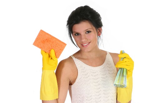 Professional domestic cleaning service maintaining a spotless interior