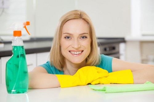 Bathroom sanitising during Airbnb cleaning in Hounslow