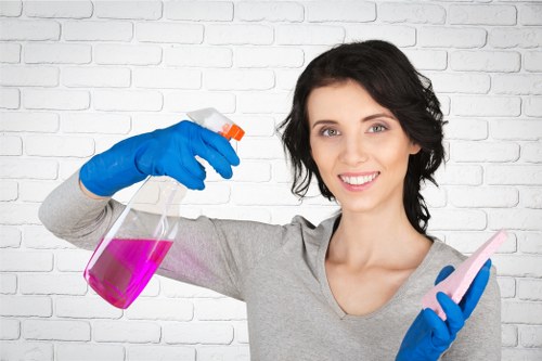Professional after builders cleaning of windows and surfaces