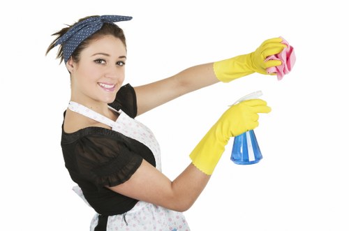 Kitchen deep cleaning with focus on surfaces and appliances