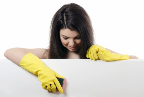 Carpet and floor cleaning for a rented home