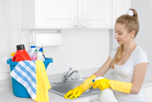 Deep rug cleaning and stain removal service