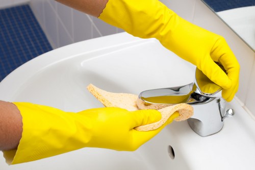 Cleaner glass windows with a streak-free finish